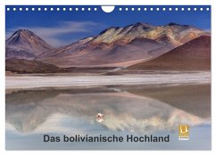 Das bolivianische Hochland (Wandkalender 2025 DIN A4 quer), CALVENDO Monatskalender