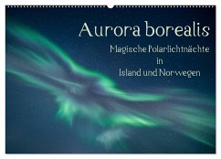 Aurora borealis - Magische Polarlichtnächte in Island und Norwegen (Wandkalender 2025 DIN A2 quer), CALVENDO Monatskalender