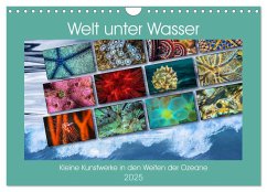 Kleine Kunstwerke in den Weiten der Ozeane (Wandkalender 2025 DIN A4 quer), CALVENDO Monatskalender