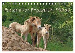 Faszination Przewalski-Pferde (Tischkalender 2025 DIN A5 quer), CALVENDO Monatskalender