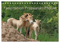 Faszination Przewalski-Pferde (Tischkalender 2025 DIN A5 quer), CALVENDO Monatskalender - Calvendo;Lindert-Rottke, Antje