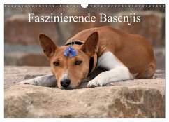 Faszinierende Basenjis (Wandkalender 2025 DIN A3 quer), CALVENDO Monatskalender