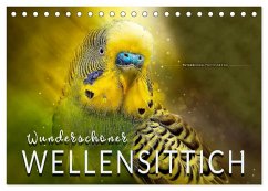 Wunderschöner Wellensittich (Tischkalender 2025 DIN A5 quer), CALVENDO Monatskalender - Calvendo;Roder, Peter