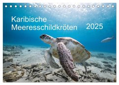 Karibische Meeresschildkröten (Tischkalender 2025 DIN A5 quer), CALVENDO Monatskalender