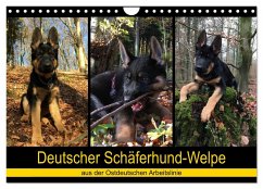 Deutscher Schäferhund-Welpe - aus der Ostdeutschen Arbeitslinie (Wandkalender 2025 DIN A4 quer), CALVENDO Monatskalender