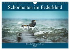 Schönheiten im Federkleid - Heimische Wildvögel im Portrait (Wandkalender 2025 DIN A4 quer), CALVENDO Monatskalender