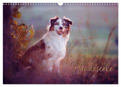 Hundeseele (Wandkalender 2025 DIN A3 quer), CALVENDO Monatskalender - Calvendo;Buttkau, Katrin