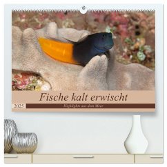 Sven Gruse taucht ab! Fische kalt erwischt (hochwertiger Premium Wandkalender 2025 DIN A2 quer), Kunstdruck in Hochglanz