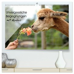 Unvergessliche Begegnungen mit Alpakas (hochwertiger Premium Wandkalender 2025 DIN A2 quer), Kunstdruck in Hochglanz