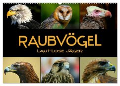 Raubvögel - lautlose Jäger (Wandkalender 2025 DIN A2 quer), CALVENDO Monatskalender - Calvendo;Bleicher, Renate