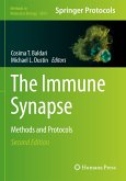 The Immune Synapse