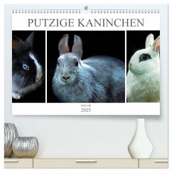 Putzige Kaninchen - Artwork (hochwertiger Premium Wandkalender 2025 DIN A2 quer), Kunstdruck in Hochglanz