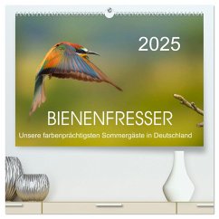 Bienenfresser, unsere farbenprächtigsten Sommergäste in Deutschland (hochwertiger Premium Wandkalender 2025 DIN A2 quer), Kunstdruck in Hochglanz