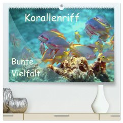 Bunte Vielfalt im Korallenriff (hochwertiger Premium Wandkalender 2025 DIN A2 quer), Kunstdruck in Hochglanz