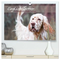 English Setter ¿ Impressionen edler Hunde (hochwertiger Premium Wandkalender 2025 DIN A2 quer), Kunstdruck in Hochglanz