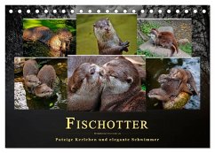 Fischotter - putzige Kerlchen und elegante Schwimmer (Tischkalender 2025 DIN A5 quer), CALVENDO Monatskalender - Calvendo;Roder, Peter