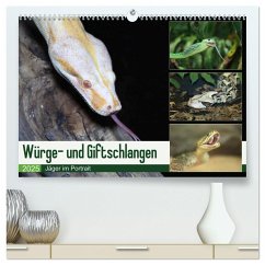 Würge- und Giftschlangen (hochwertiger Premium Wandkalender 2025 DIN A2 quer), Kunstdruck in Hochglanz - Calvendo