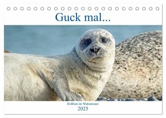 Guck mal ... Robben im Wattenmeer (Tischkalender 2025 DIN A5 quer), CALVENDO Monatskalender
