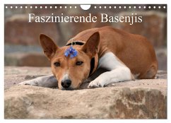 Faszinierende Basenjis (Wandkalender 2025 DIN A4 quer), CALVENDO Monatskalender