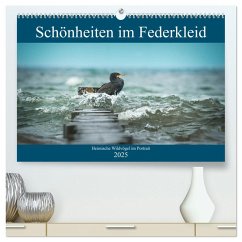 Schönheiten im Federkleid - Heimische Wildvögel im Portrait (hochwertiger Premium Wandkalender 2025 DIN A2 quer), Kunstdruck in Hochglanz