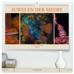 Juwelen der Meere (hochwertiger Premium Wandkalender 2025 DIN A2 quer), Kunstdruck in Hochglanz