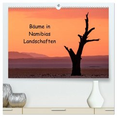 Bäume in Namibias Landschaften (hochwertiger Premium Wandkalender 2025 DIN A2 quer), Kunstdruck in Hochglanz