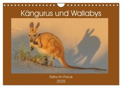 Kängururs und Wallabys (Wandkalender 2025 DIN A4 quer), CALVENDO Monatskalender