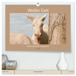 Weiße Esel - Märchenhafte Langohren (hochwertiger Premium Wandkalender 2025 DIN A2 quer), Kunstdruck in Hochglanz