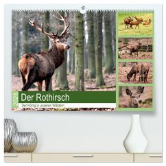 Der Rothirsch - Der König in unseren Wäldern (hochwertiger Premium Wandkalender 2025 DIN A2 quer), Kunstdruck in Hochglanz