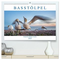 Basstölpel - Helgolands tollkühne Taucher (hochwertiger Premium Wandkalender 2025 DIN A2 quer), Kunstdruck in Hochglanz