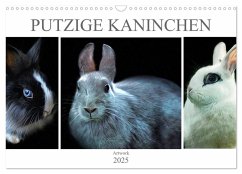 Putzige Kaninchen - Artwork (Wandkalender 2025 DIN A3 quer), CALVENDO Monatskalender