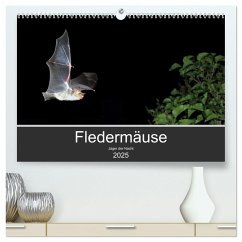Fledermäuse - Jäger der Nacht (hochwertiger Premium Wandkalender 2025 DIN A2 quer), Kunstdruck in Hochglanz - Calvendo;Schäfer, Otto
