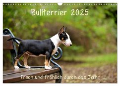Bullterrier 2025 Frech und fröhlich durch das Jahr (Wandkalender 2025 DIN A3 quer), CALVENDO Monatskalender