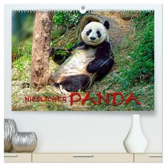 Niedlicher Panda (hochwertiger Premium Wandkalender 2025 DIN A2 quer), Kunstdruck in Hochglanz