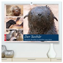 Der Seebär 2025 (hochwertiger Premium Wandkalender 2025 DIN A2 quer), Kunstdruck in Hochglanz