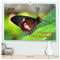 Fliegende Wunderwesen. Schmetterlinge weltweit, ganz nah (hochwertiger Premium Wandkalender 2025 DIN A2 quer), Kunstdruck in Hochglanz