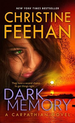 Dark Memory - Feehan, Christine