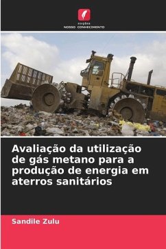 Avaliação da utilização de gás metano para a produção de energia em aterros sanitários - Zulu, Sandile