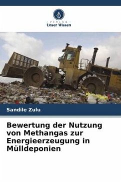 Bewertung der Nutzung von Methangas zur Energieerzeugung in Mülldeponien - Zulu, Sandile