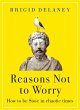 Reasons Not to Worry - Bild 1