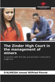 The Zinder High Court in the management of minors