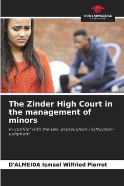 The Zinder High Court in the management of minors - Ismael Wilfried Pierrot, D'ALMEIDA