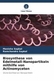 Biosynthese von Edelmetall-Nanopartikeln mithilfe von Actinomyceten
