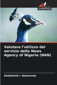 Valutare l'utilizzo del servizio della News Agency of Nigeria (NAN) - Babatunde, Abdulfatah I.