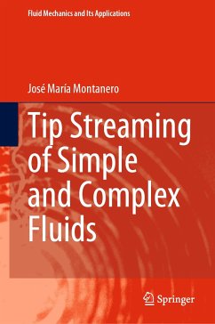 Tip Streaming of Simple and Complex Fluids (eBook, PDF) - Montanero, José María
