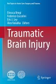 Traumatic Brain Injury (eBook, PDF)
