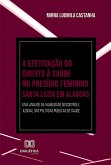 A Efetivação do Direito à Saúde no Presídio Feminino Santa Luzia em Alagoas (eBook, ePUB)