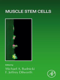 Cover Muscle Stem Cells (eBook, ePUB)