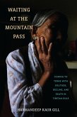 Waiting at the Mountain Pass (eBook, ePUB)