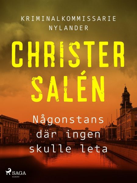Någonstans där ingen skulle leta (eBook, ePUB)